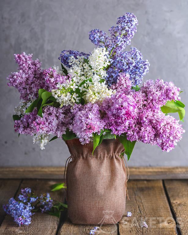 Jutowy woreczek w roli osłonki na wazon z kwiatami bzu