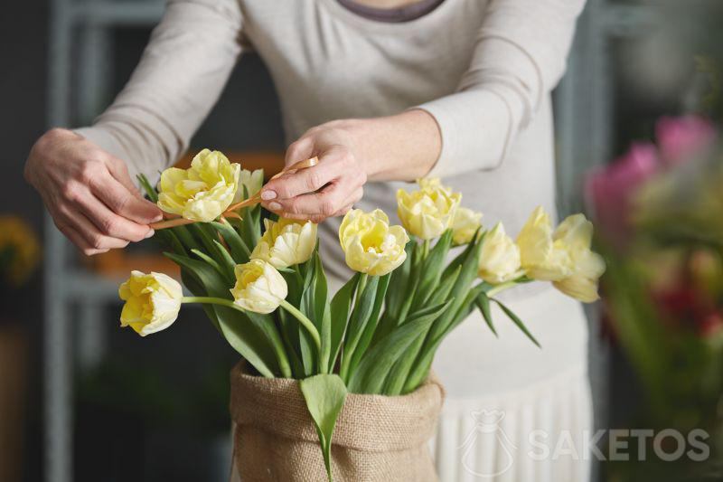Bukiet tulipanów w woreczku jutowym