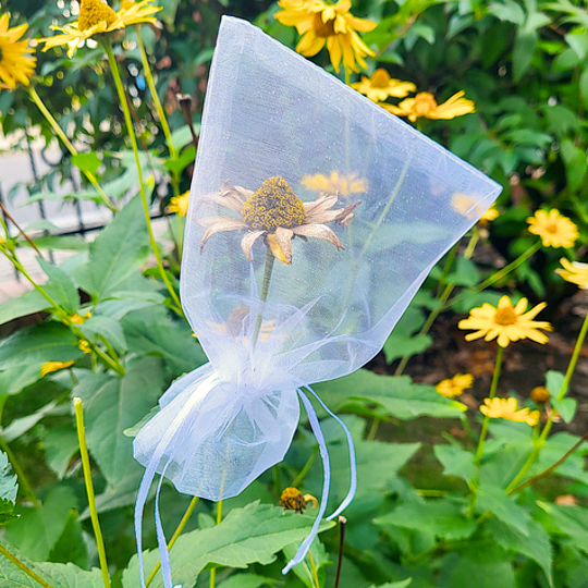 Organza bag for plant seed protection