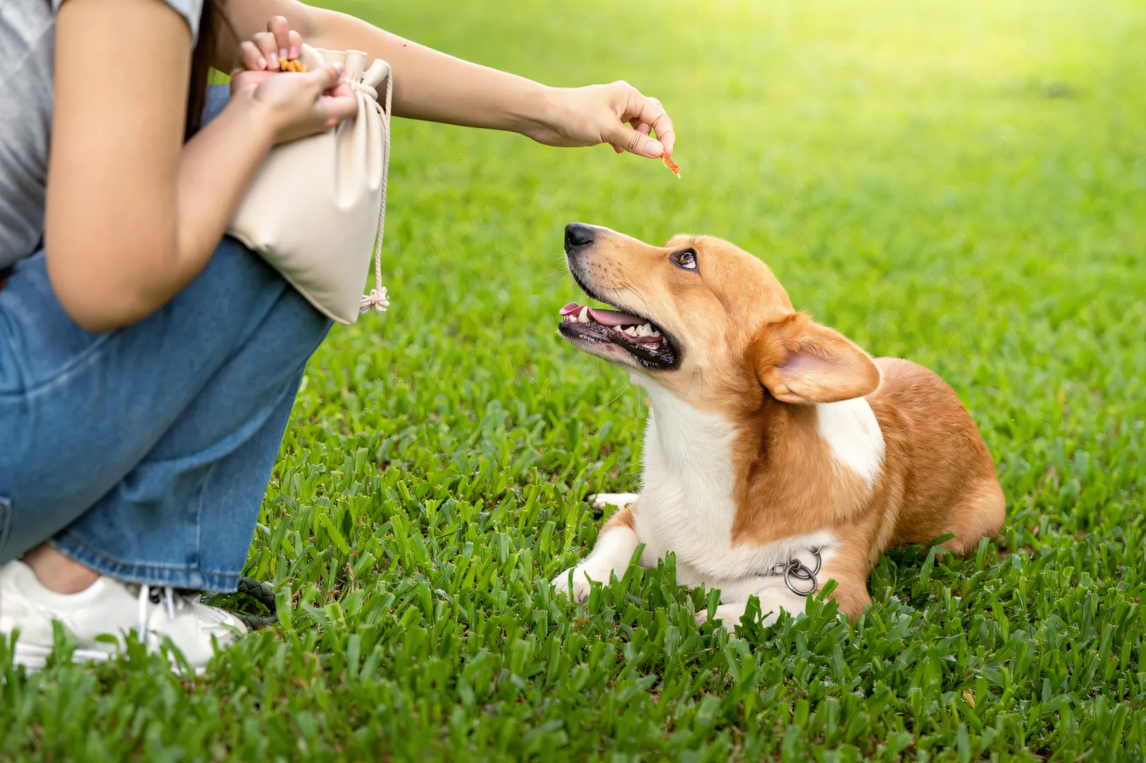 Woreczki na smaczki dla psa