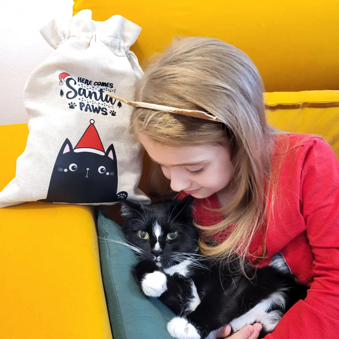 Woreczek na świąteczne prezenty dla kota