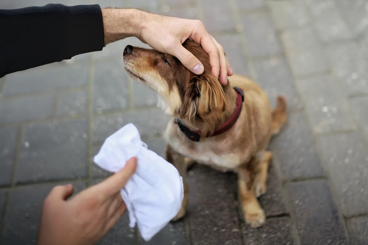 Woreczek na smaczki dla psa