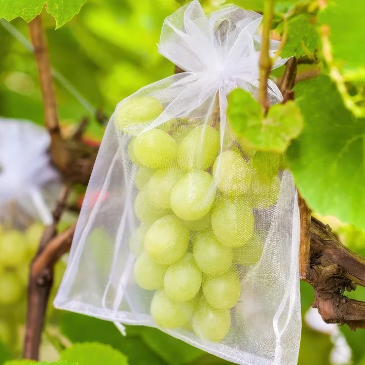 Woreczek z organzy do ochrony winogron przed osami
