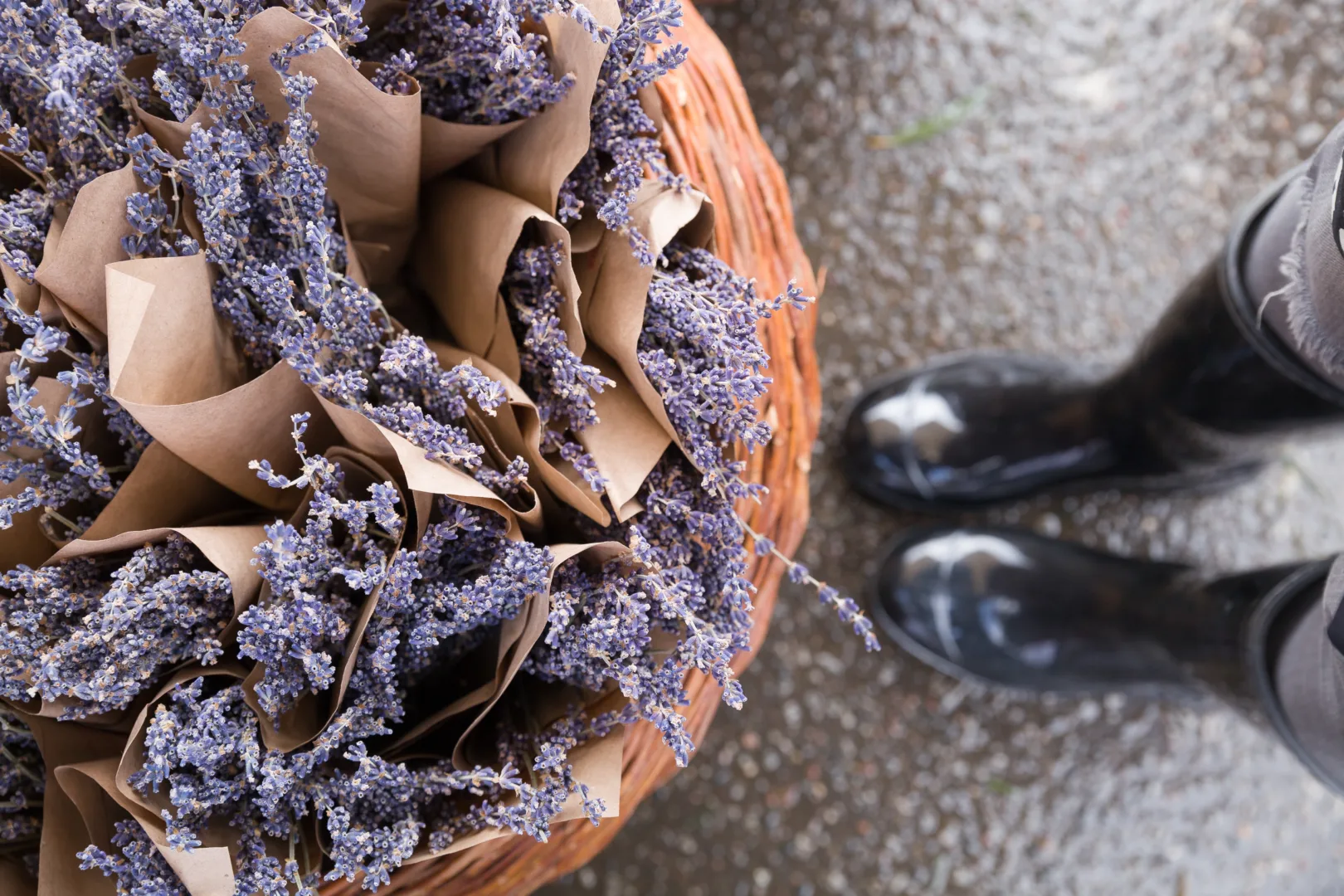 Widok z góry na wiklinowy kosz pełen suszonej lawendy w papierowych opakowaniach. Obok kosza stoją nogi w czarnych, błyszczących kaloszach na mokrej nawierzchni.